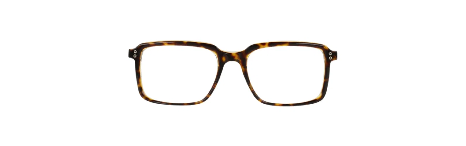 Randy Jackson RJ3089 Eyeglasses - view 4